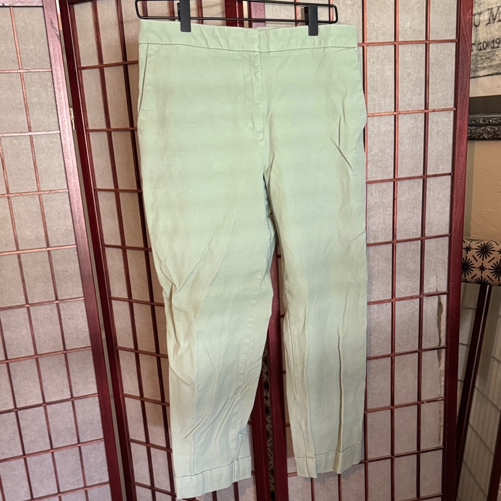 Ann Taylor Factory Mint Chinos